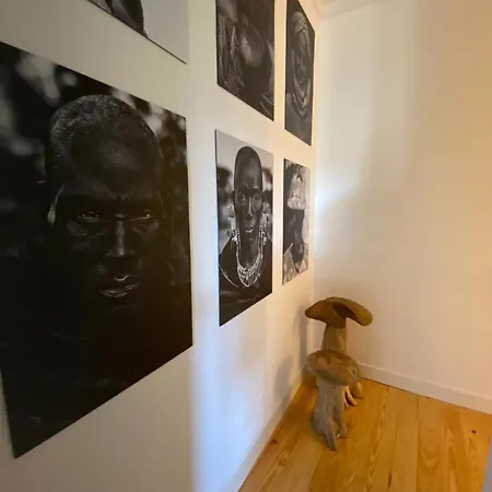 公寓 In Penha De Franca